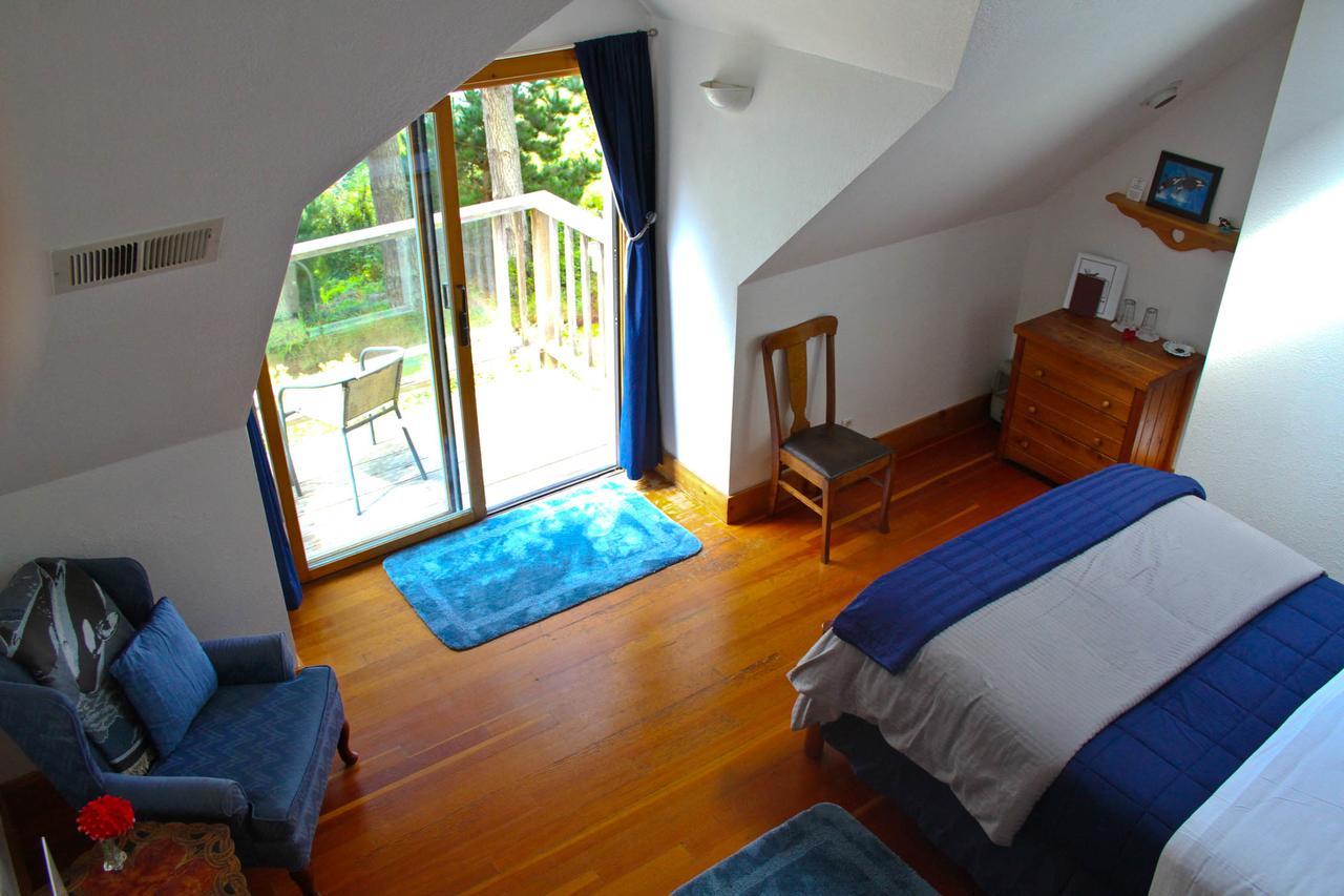 Lost Whale Inn Trinidad Eksteriør billede